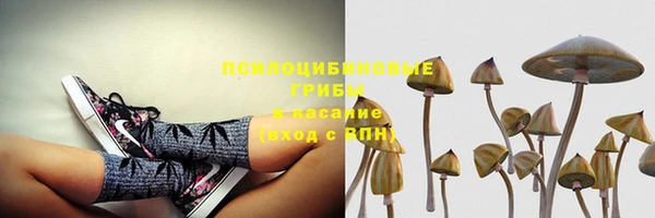 скорость Баксан