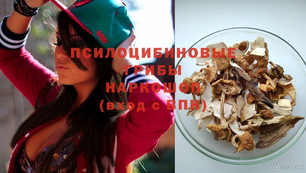 PSILOCYBIN Армянск