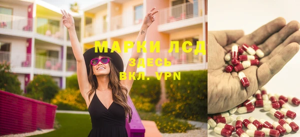 PSILOCYBIN Армянск