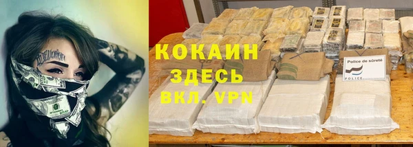 PSILOCYBIN Армянск